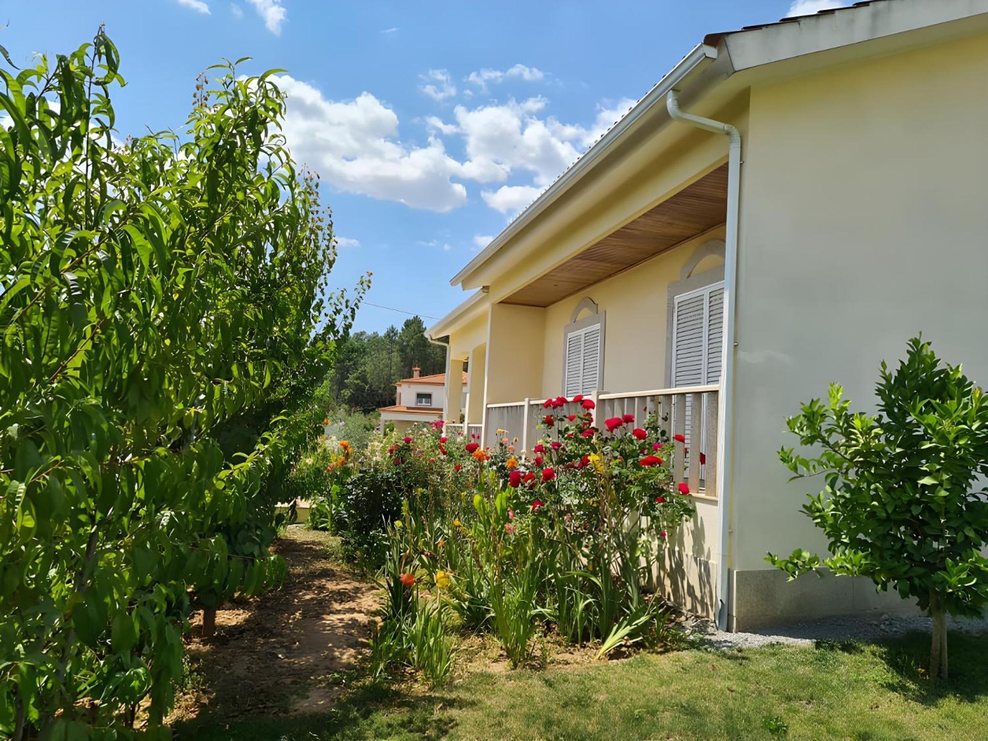 Panoias Country House Vila Real Eksteriør bilde